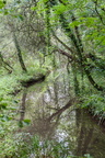 La cascade du ruisseau de Bizien