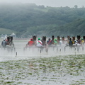 Plestin 20130630 140