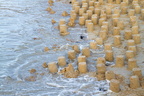 Estran 2013-25 (17728 visits) Estran 2013-25