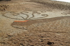 Estran 2013-23 (17637 visits) Estran 2013-23
