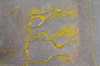 Estran 2013-18 (18021 visits) Estran 2013-18