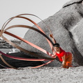 Estran 2013-1-2