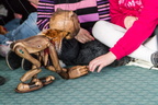 Perros-Guirec-32