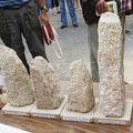 2014-08-07-chpt menhir 222  CJ 7328