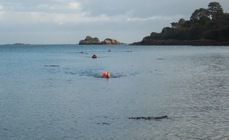 Ile_a_Bois-11.jpg
