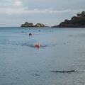 Ile a Bois-11