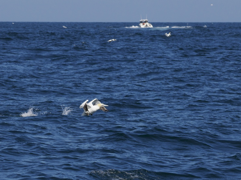 Sept-Iles  JC 20100.jpg